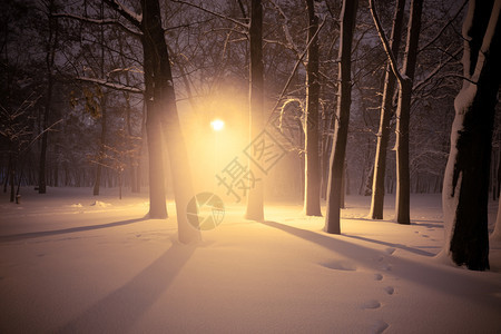 夜间冬季风景城市的雪小巷照亮公园图片