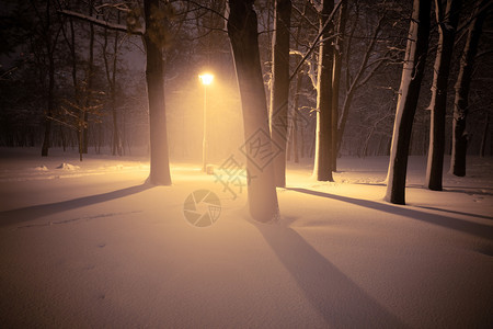 夜间冬季风景城市的雪小巷照亮公园图片