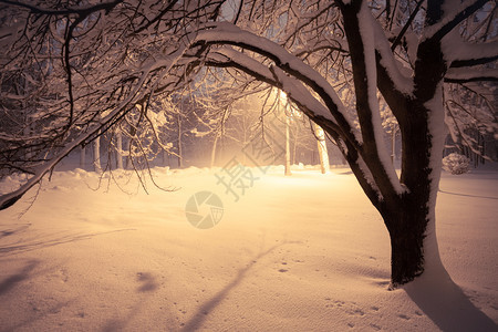 夜间冬季风景城市的雪小巷照亮公园图片