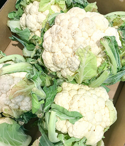 Cauliflower是Brassicaoletracea物种Brassicaoletracea的几种蔬菜之一Brassicac图片