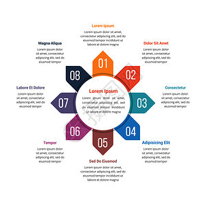 包含八个元素的圆形信息图模板可用作步骤选项进程图矢量eps10插图图片