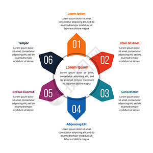 包含六个元素的圆形信息图模板可作为步骤选项流程图矢量eps10插图使用图片
