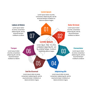 包含七个元素的圆形信息图模板可用作步骤选项进程图矢量eps10插图图片