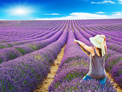 薰衣草女人背景