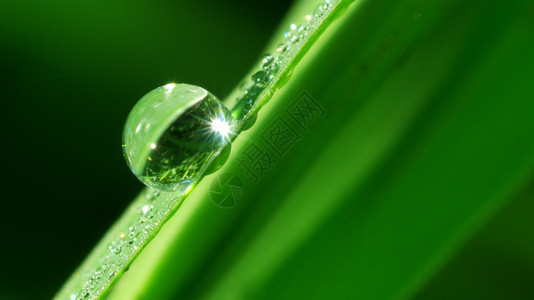 雨滴的宏自然构成图片