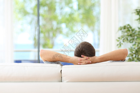 在家沙发上放松的单身男子近视透过客厅的窗户在外看绿色背景图片