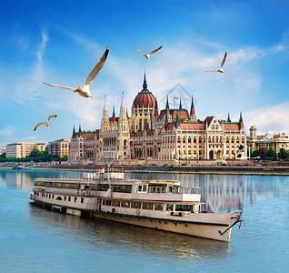 在布达佩斯多瑙河上议会附近的船只上海鸥图片