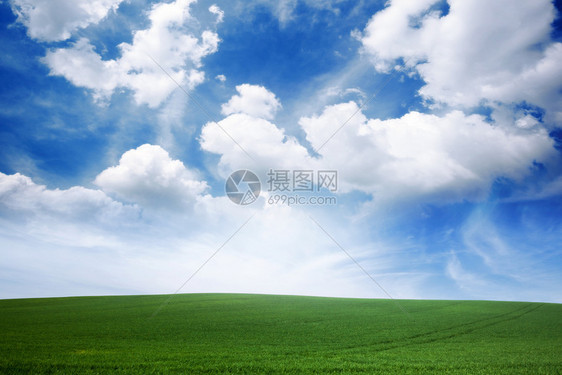 绿草坪和蓝云天空自然多林的美丽世界背景绿草坪和蓝云天空自然多林的美丽世界图片