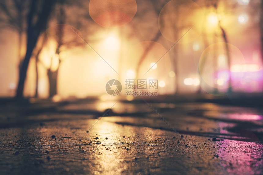 夜间城市秋天公园夜间灯火树木图片