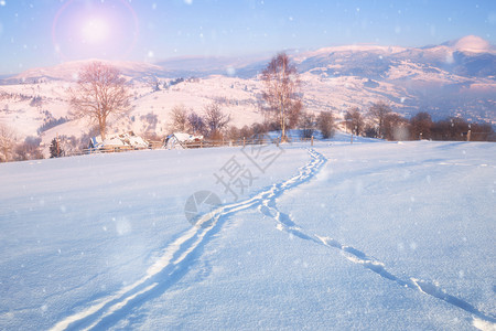 美丽的冬季风景有雪覆盖树木和山丘背景美丽的冬季风景有雪覆盖树木图片