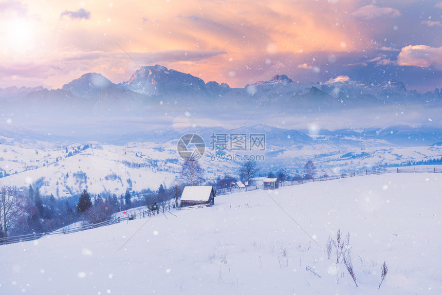 美丽的冬季风景有雪覆盖树木和山丘背景美丽的冬季风景有雪覆盖树木图片