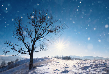 美丽的冬季风景有雪覆盖的树木和山丘背景冬季美丽的节场景美丽的冬季风景有雪覆盖的树木图片