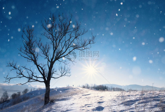 美丽的冬季风景有雪覆盖的树木和山丘背景冬季美丽的节场景美丽的冬季风景有雪覆盖的树木图片