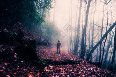 在黑暗的雾林里有灯笼的男人图片