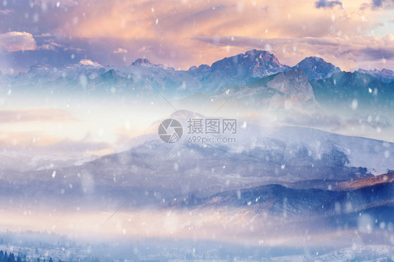 美丽的冬季风景有雪覆盖树木和山丘背景美丽的冬季风景有雪覆盖树木图片