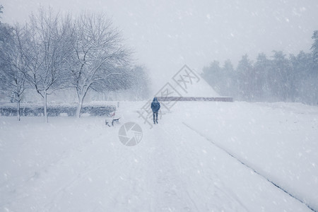 冬季雪城市公园小巷树上布满雪的木冬季公园图片