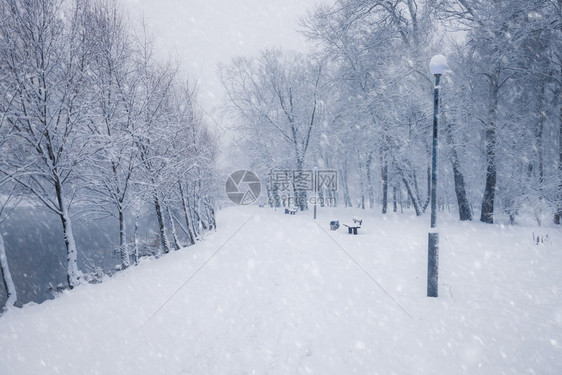 冬季雪城市公园小巷树上布满雪的木冬季公园图片