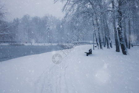 冬季雪城市公园小巷树上布满雪的木冬季公园图片