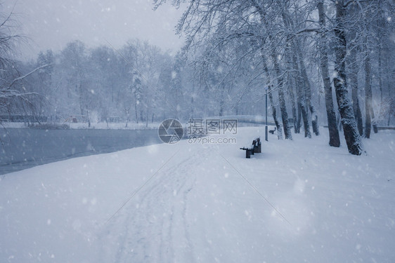 冬季雪城市公园小巷树上布满雪的木冬季公园图片