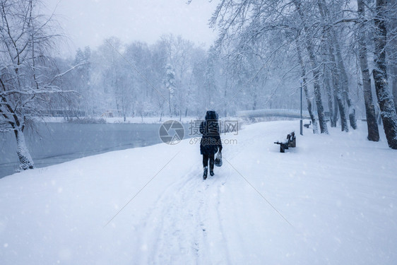 冬季雪城市公园小巷树上布满雪的木冬季公园图片