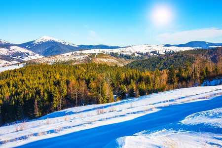 乌克兰喀尔巴阡山冬季风景全雪峰极端地形坡和松树林图片