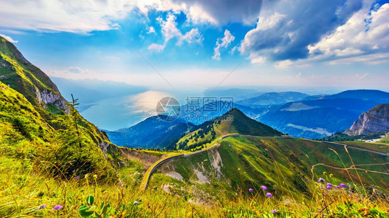 RochersdeNaye山峰的夏季风景全山上有绿草花原和瑞士阿尔卑斯的日内瓦湖图片