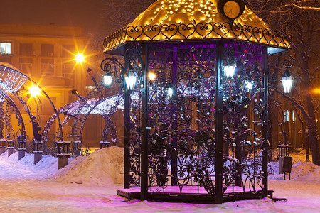 冬巷城市公园的夜间雪景色图片