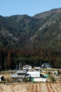 山前日本式的房屋景观图片