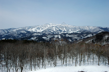 日本富山冬季大一图片