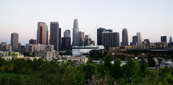 绿树占地的头洛杉矶市的天线是背景图片