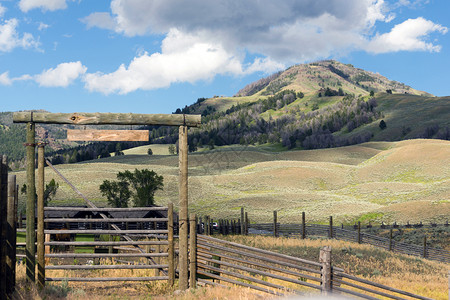 牲畜篱笆和通往工作西部牧场的入口图片