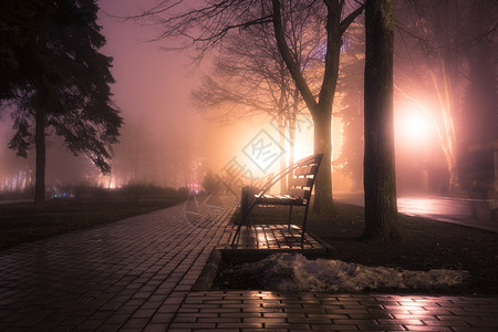 夜间城市秋天公园夜间雾图片