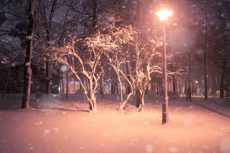 夜间冬季雪瀑布城市的小巷明亮公园图片