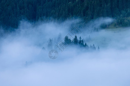 山林的迷雾风景日出前对山的全景林岳图片