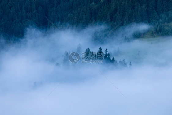 山林的迷雾风景日出前对山的全景林岳图片