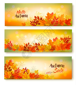 3个秋季销售封条上面有多色叶子背景图片