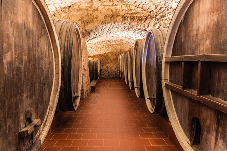旧地窖内有大木制葡萄酒桶背景图片