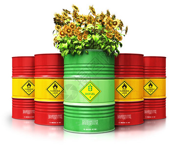 创意抽象生态替代可持续能源和环境保护节约商业概念3D将绿色生物燃料或柴油桶与黄向日葵花在白色背景孤立的红金属油石或气桶前的红色金背景图片