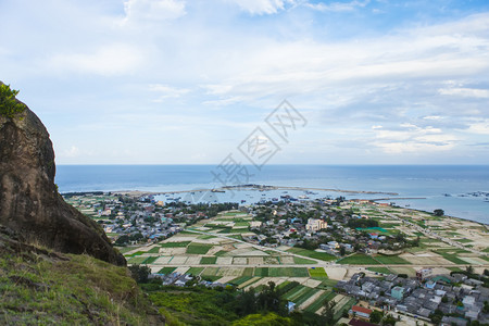 在越南QuangNgai的莱森岛大蒜田椰子和海滩的美丽风景图片