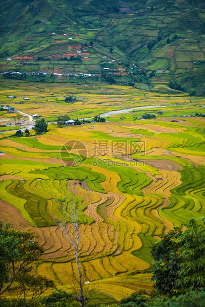 田地准备种植大米LimMongHuyenMuChangChaiNorthen越南图片