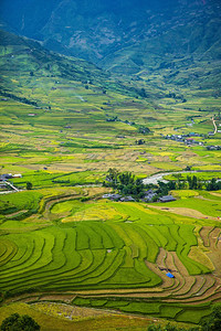 田地准备种植大米LimMongHuyenMuChangChaiNorthen越南图片