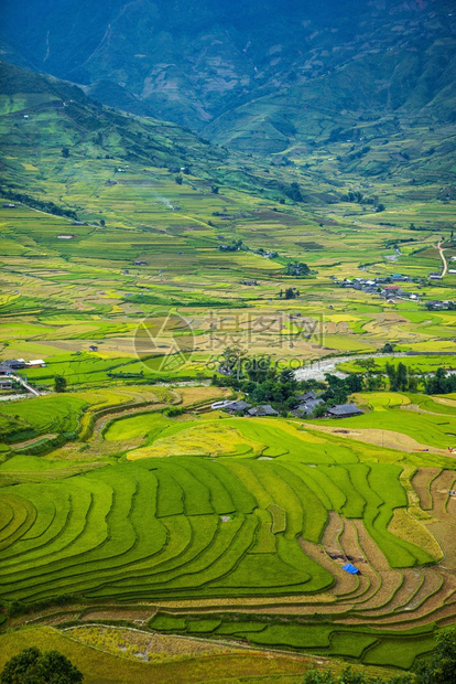 田地准备种植大米LimMongHuyenMuChangChaiNorthen越南图片