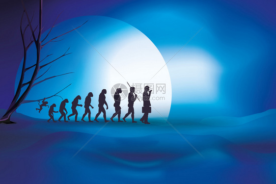人类从猴子到商的进化蓝夜背景图片