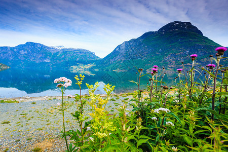 旅游度假和行Jostedalsbreen公园Oppstryn施特林SognogFjordane县挪威斯堪的纳维亚挪威山和fjor图片