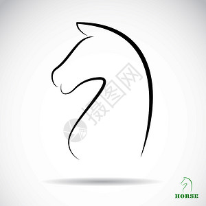 mustang福特野马插画