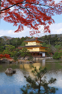 金宫寺的殿红色树叶图片