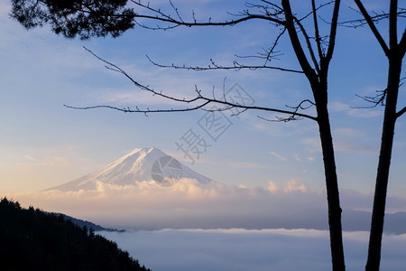 富士山清晨拍的漂亮镜头前面有雾海和树林图片