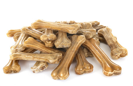 狗爪狗骨头图片