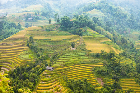 田地准备种植大米越南北部河江省HuyenHoangSuPhi的BanLuocHuyenPhi图片