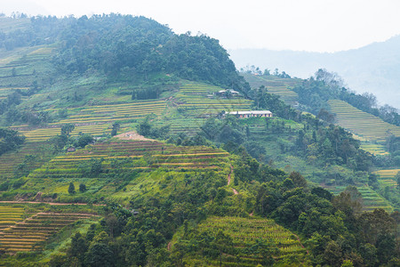 美女山田地准备种植大米越南北部河江省HuyenHoangSuPhi的BanLuocHuyenPhi背景